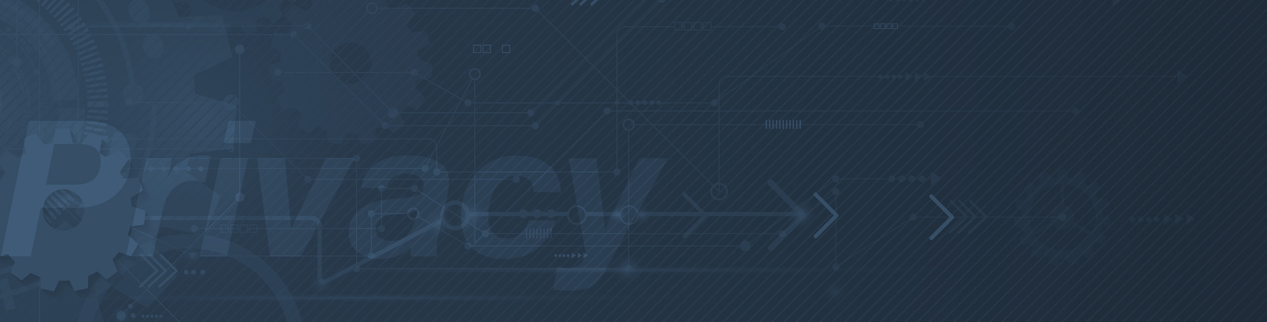 section-header-privacy-001 Privacy Statement